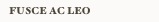 Fusce ac leo