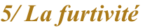shapeimage_4_link_28