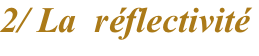 shapeimage_4_link_7